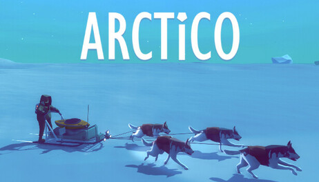 Купить Arctico