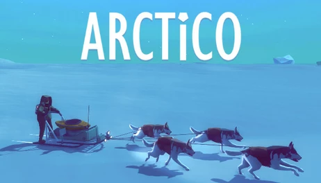 Купить Arctico