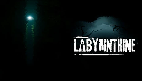 Купить Labyrinthine