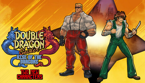 Купить Double Dragon Gaiden: Rise of the Dragons