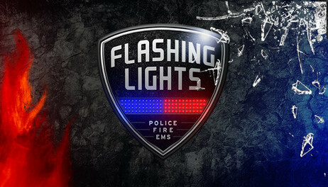 Купить Flashing Lights