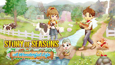 Купить STORY OF SEASONS: A Wonderful Life