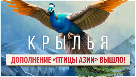 Купить Wingspan