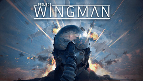 Купить Project Wingman