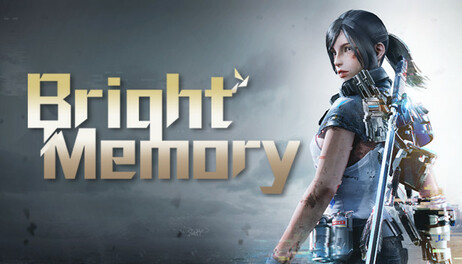 Купить Bright Memory