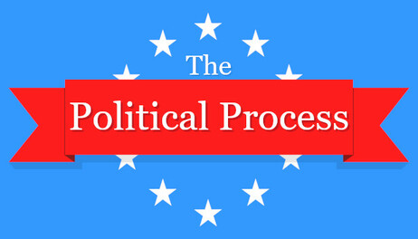 Купить The Political Process