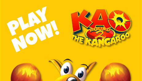 Купить Kao the Kangaroo: Round 2