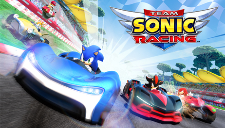 Купить Team Sonic Racing