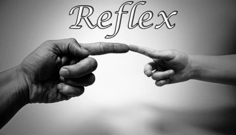 Купить Reflex