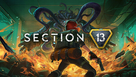 Купить Section 13