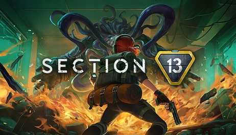 Купить Section 13