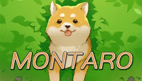 Купить Montaro