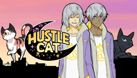 Купить Hustle Cat
