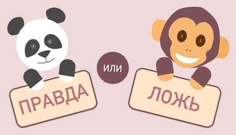 Купить True or False