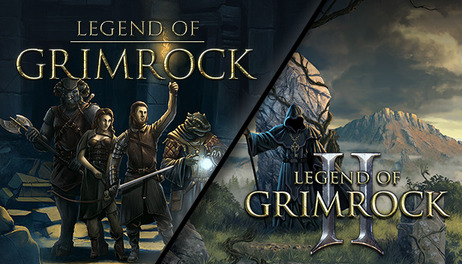 Купить Legend of Grimrock Bundle