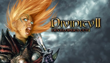 Купить Divinity II Developer's Cut