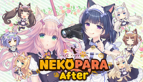 Купить NEKOPARA After