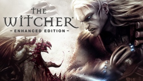 Купить The Witcher: Enhanced Edition