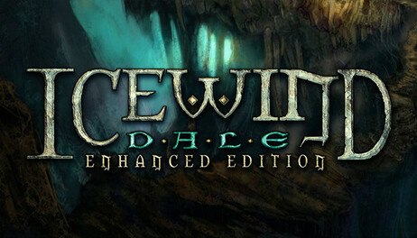 Купить Icewind Dale: Enhanced Edition