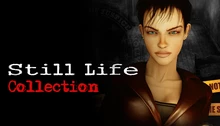 Still Life Collection