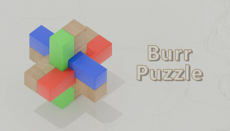 Купить Burr Puzzle