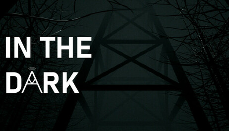Купить In The Dark