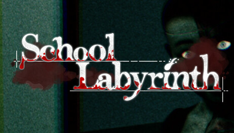 Купить School Labyrinth
