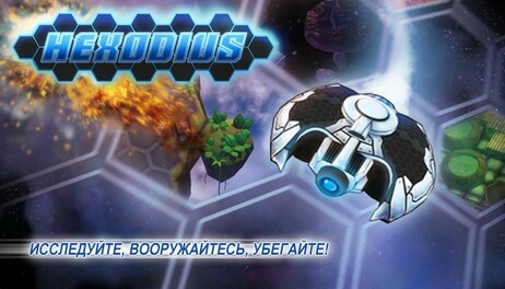 Купить Hexodius