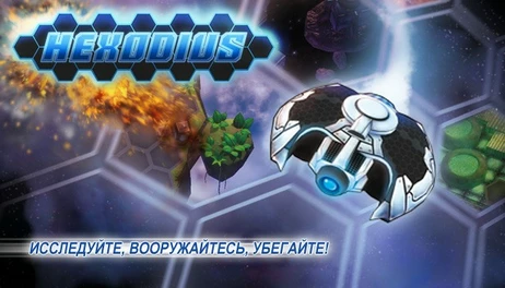 Купить Hexodius