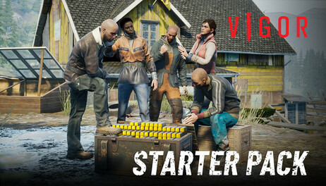 Купить Vigor - Starter Pack