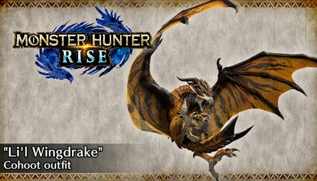 Купить MONSTER HUNTER RISE - "Li'l Wingdrake" Cohoot outfit
