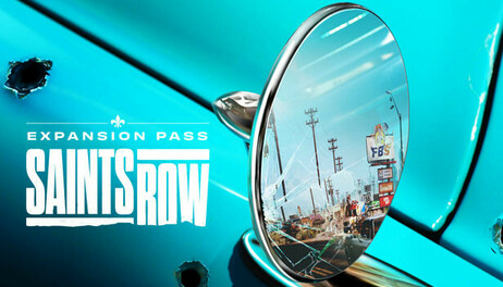 Купить Saints Row - Expansion Pass