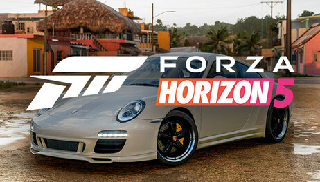 Купить Forza Horizon 5 2010 Porsche 911 SC