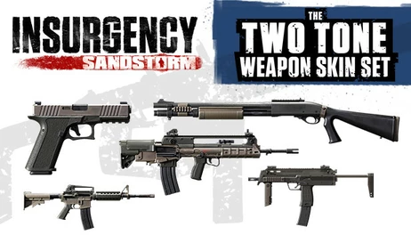 Купить Insurgency: Sandstorm - Two-Tone Weapon Skin Set