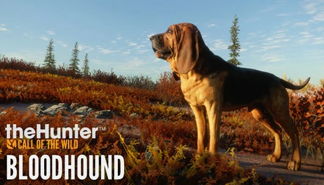 Купить theHunter: Call of the Wild - Bloodhound
