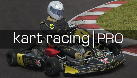 Купить Kart Racing Pro