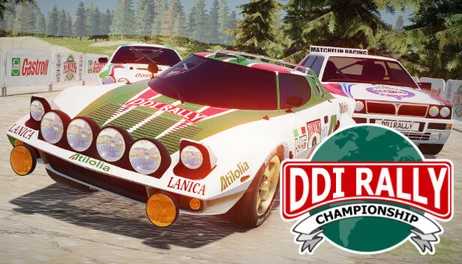 Купить DDI Rally Championship