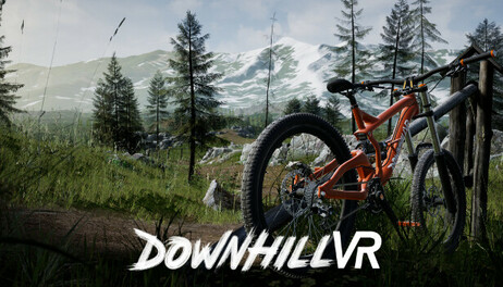 Купить DownhillVR