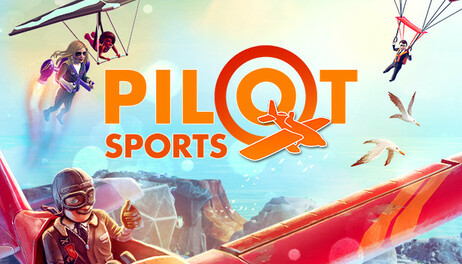 Купить Pilot Sports