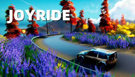 Купить joyride
