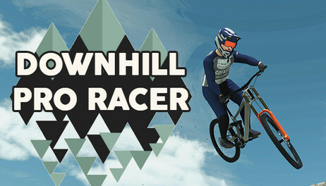 Купить Downhill Pro Racer
