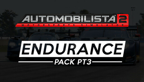 Купить Automobilista 2 - Endurance Pack Pt3