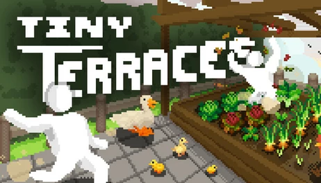 Купить Tiny Terraces
