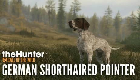 Купить theHunter: Call of the Wild - German Shorthaired Pointer