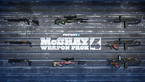 Купить PAYDAY 2: McShay Weapon Pack 4