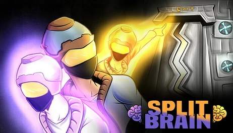 Купить Split Brain