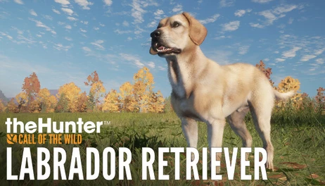 Купить theHunter: Call of the Wild - Labrador Retriever