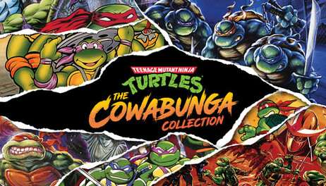 Купить Teenage Mutant Ninja Turtles: The Cowabunga Collection