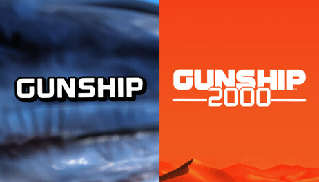 Купить Gunship + Gunship 2000
