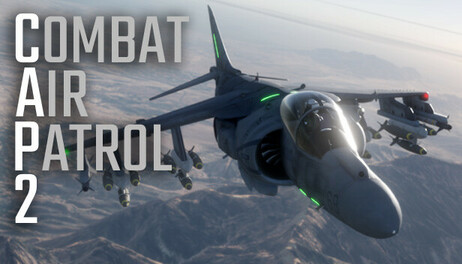 Купить Combat Air Patrol 2